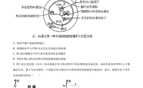 精品解析：福建省德化一中、永安一中、漳平一中三校协作2023-2024学年高三12月联考生物试题（原卷版）_2024届福建省德化一中、永安一中、漳平一中三校协作高三上学期12月联考