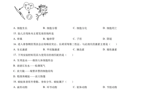 精品解析：2023年福建省中考生物真题（原卷版）_中考真题_8.生物中考真题2015-2024年_2023年全国中考生物7.20_精品解析：2023年福建省中考生物真题