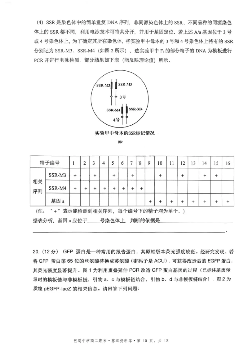 生物+答案-重庆市巴蜀中学教育集团2026届高二（下）期末考试_2025年7月_250702重庆市巴蜀中学教育集团高2026届高二下期末考试