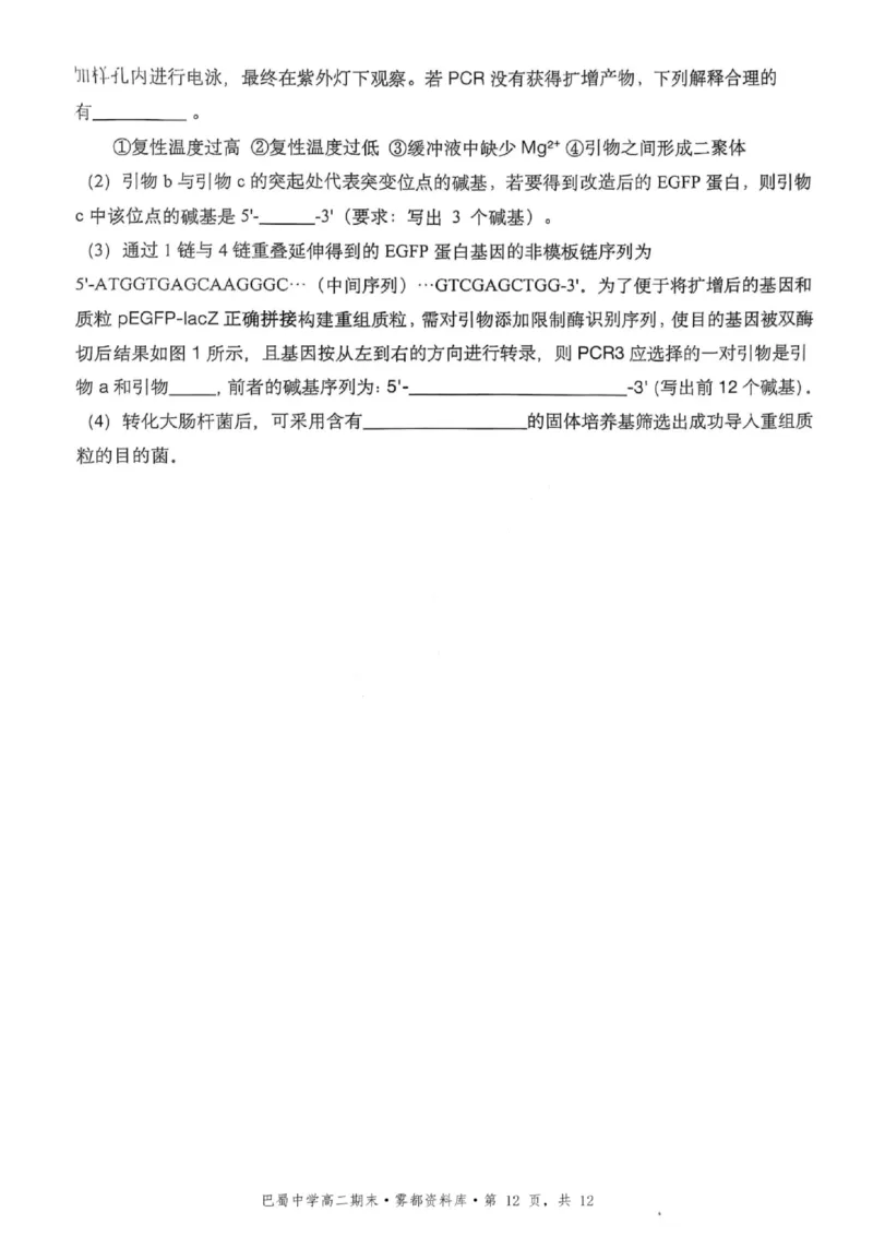 生物+答案-重庆市巴蜀中学教育集团2026届高二（下）期末考试_2025年7月_250702重庆市巴蜀中学教育集团高2026届高二下期末考试