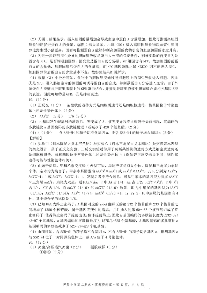 生物+答案-重庆市巴蜀中学教育集团2026届高二（下）期末考试_2025年7月_250702重庆市巴蜀中学教育集团高2026届高二下期末考试