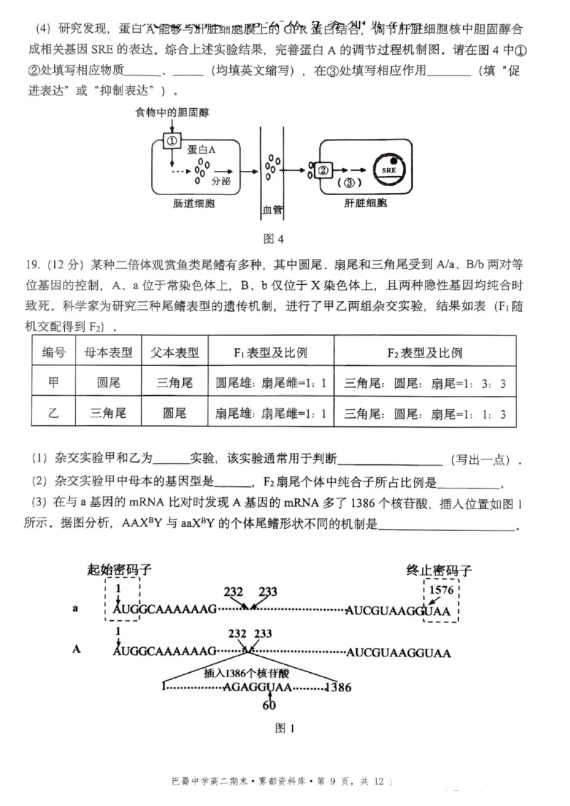 生物+答案-重庆市巴蜀中学教育集团2026届高二（下）期末考试_2025年7月_250702重庆市巴蜀中学教育集团高2026届高二下期末考试