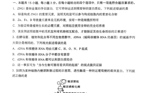 生物+答案-重庆市巴蜀中学教育集团2026届高二（下）期末考试_2025年7月_250702重庆市巴蜀中学教育集团高2026届高二下期末考试