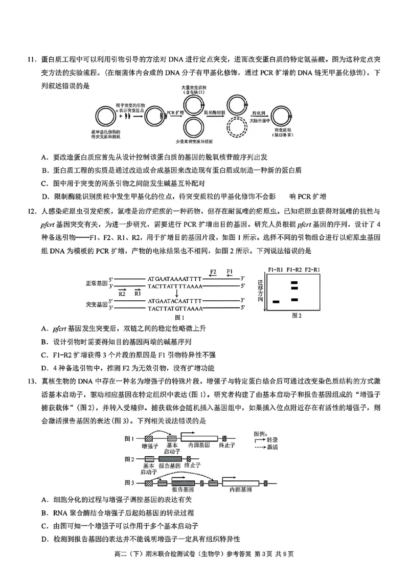 重庆康德教育2025年高二下期末联合检测试卷生物+答案_2025年7月_250703重庆康德教育2025年高二下期末联合检测试卷（全科）