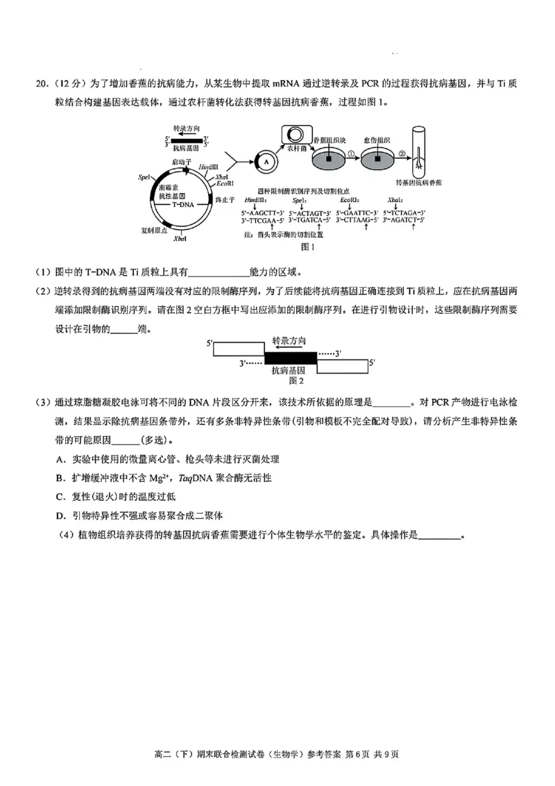 重庆康德教育2025年高二下期末联合检测试卷生物+答案_2025年7月_250703重庆康德教育2025年高二下期末联合检测试卷（全科）