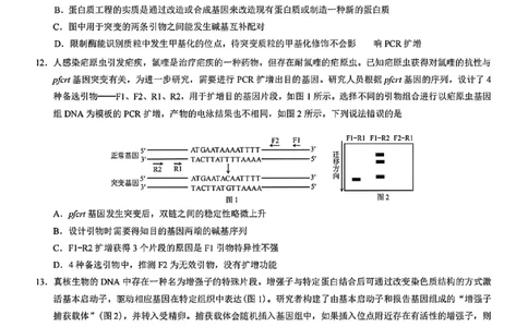 重庆康德教育2025年高二下期末联合检测试卷生物+答案_2025年7月_250703重庆康德教育2025年高二下期末联合检测试卷（全科）