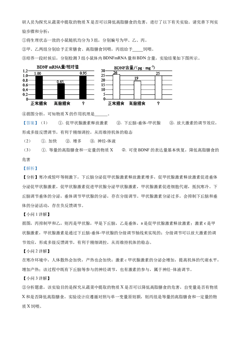 精品解析：广东省深圳市罗湖区2023-2024学年高三1月期末生物试题（解析版）_2024届广东省深圳市罗湖区高三上学期期末质量监测_广东省深圳市罗湖区2024届高三上学期期末质量监测生物