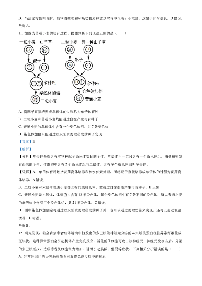 精品解析：广东省深圳市罗湖区2023-2024学年高三1月期末生物试题（解析版）_2024届广东省深圳市罗湖区高三上学期期末质量监测_广东省深圳市罗湖区2024届高三上学期期末质量监测生物