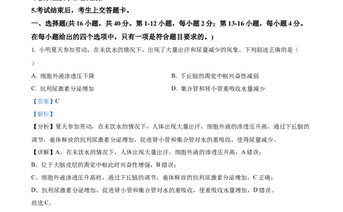 精品解析：广东省深圳市罗湖区2023-2024学年高三1月期末生物试题（解析版）_2024届广东省深圳市罗湖区高三上学期期末质量监测_广东省深圳市罗湖区2024届高三上学期期末质量监测生物