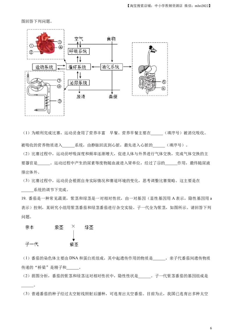 精品解析：2023年广西生物中考真题（原卷版）_中考真题_8.生物中考真题2015-2024年_2023年全国中考生物7.20_精品解析：2023年广西生物中考真题
