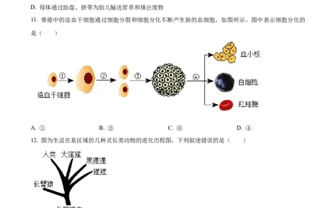 精品解析：2023年广西生物中考真题（原卷版）_中考真题_8.生物中考真题2015-2024年_2023年全国中考生物7.20_精品解析：2023年广西生物中考真题