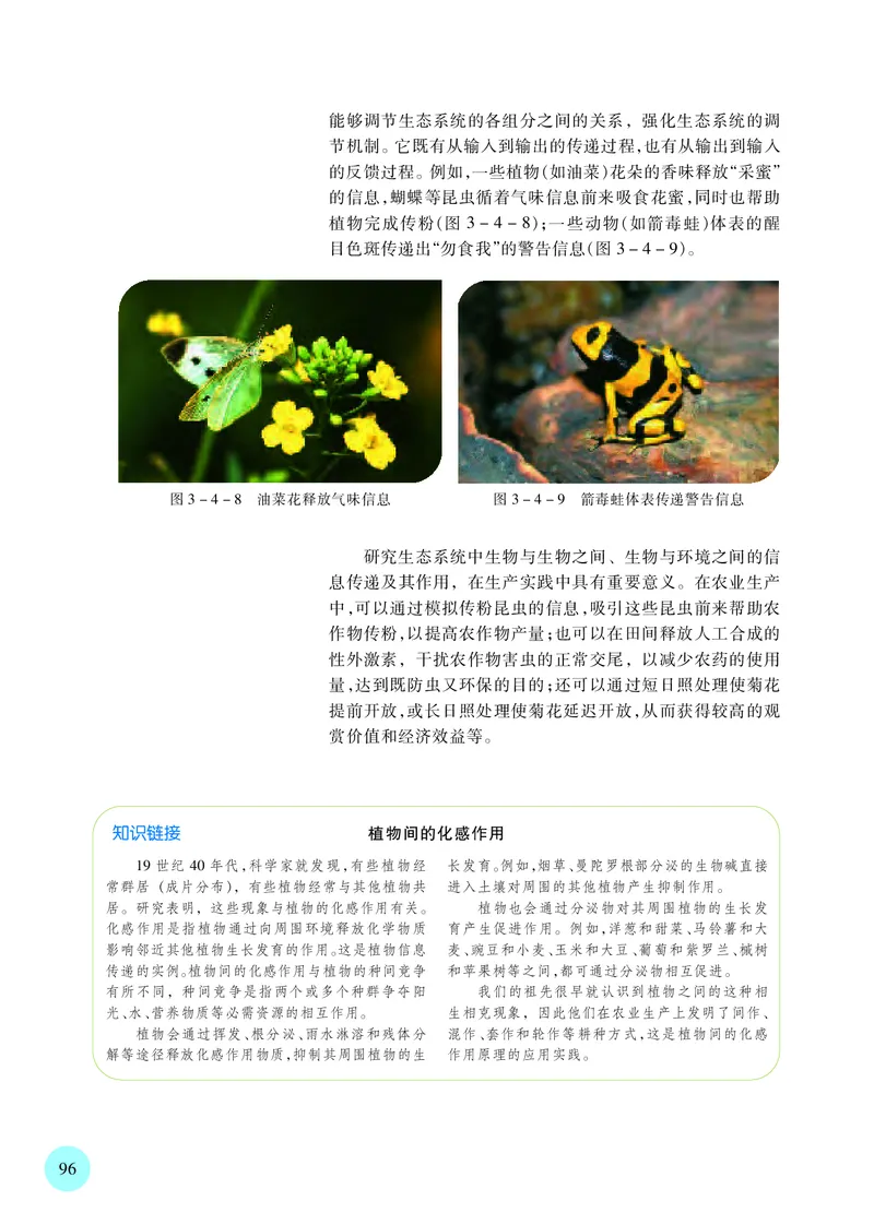 苏教版生物选修2高清教材_4-教培资料-26年最新资料-同步更新_初中高中教资_03科三专项（进去保存报考的学科即可）_02科三专项（笔记真题思维导图教学设计版本二）