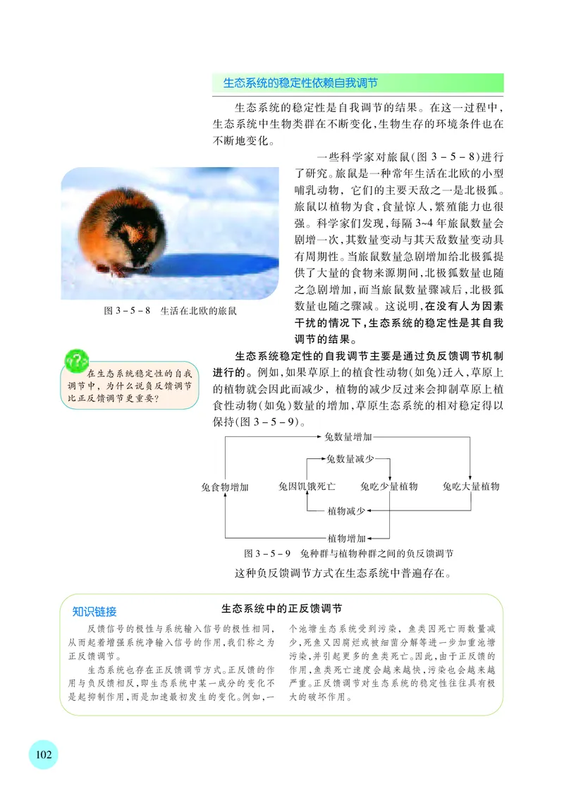 苏教版生物选修2高清教材_4-教培资料-26年最新资料-同步更新_初中高中教资_03科三专项（进去保存报考的学科即可）_02科三专项（笔记真题思维导图教学设计版本二）