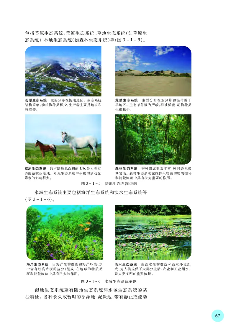 苏教版生物选修2高清教材_4-教培资料-26年最新资料-同步更新_初中高中教资_03科三专项（进去保存报考的学科即可）_02科三专项（笔记真题思维导图教学设计版本二）