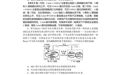 高三附中生物3&mdash;&mdash;教_251103湖南省长沙市湖南师范大学附属中学2025-2026学年高三上学期月考卷（三）（全科）
