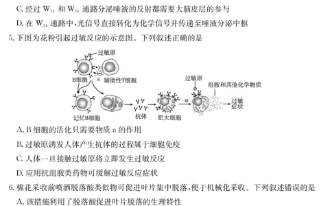 金太阳25-003B河南省2024-2025学年高二下学期6月百万大联考生物学_2025年7月_250705河南省2024-2025学年高二下学期6月百万大联考（金太阳25-003B）