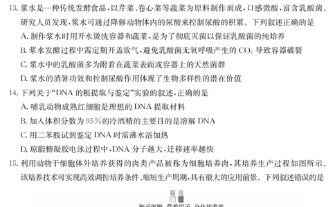 金太阳25-003B河南省2024-2025学年高二下学期6月百万大联考生物学_2025年7月_250705河南省2024-2025学年高二下学期6月百万大联考（金太阳25-003B）