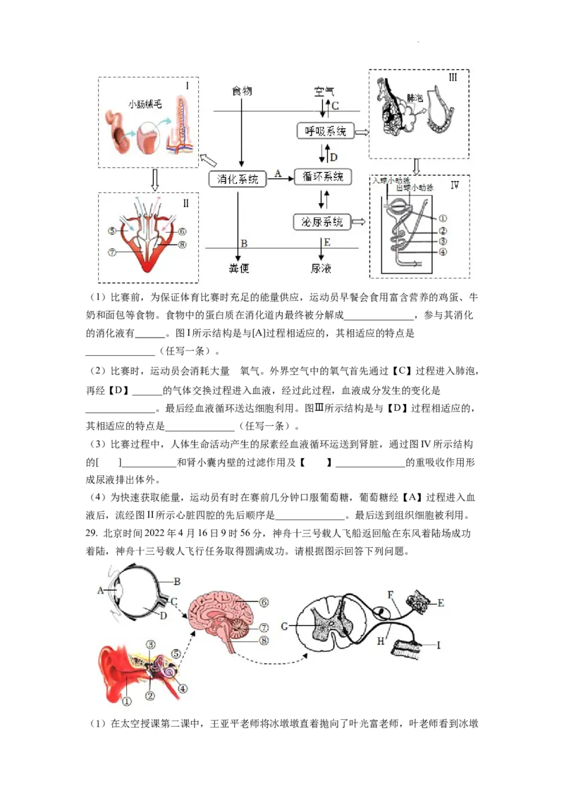 精品解析：2022年山东省临沂市中考生物真题（原卷版）_中考真题_8.生物中考真题2015-2024年_2022年全国中考生物114份14