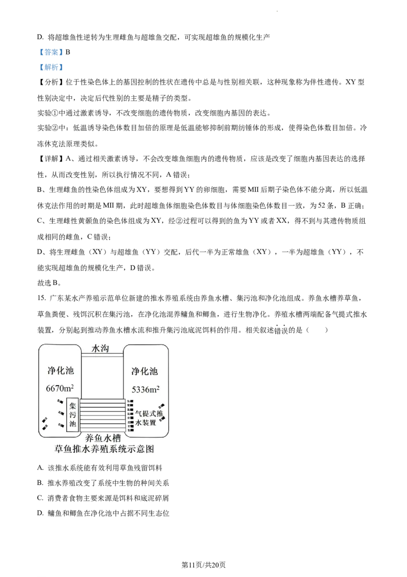 精品解析：广东省东莞市2023-2024学年高三上学期期末生物试题（解析版）_2024年1月_01每日更新_22号_2024届广东省东莞市高三上学期期末考试_广东省东莞市2024届高三上学期期末考试生物