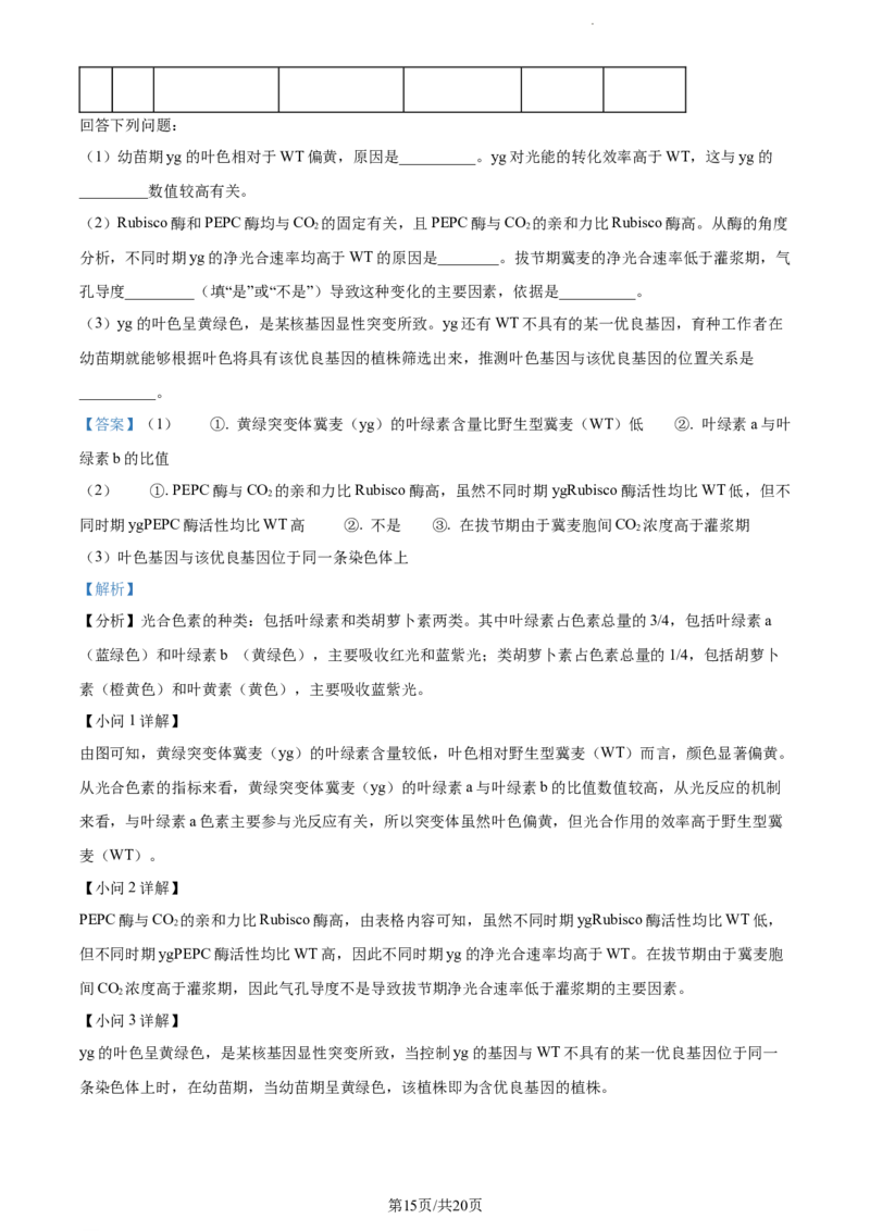 精品解析：广东省东莞市2023-2024学年高三上学期期末生物试题（解析版）_2024年1月_01每日更新_22号_2024届广东省东莞市高三上学期期末考试_广东省东莞市2024届高三上学期期末考试生物