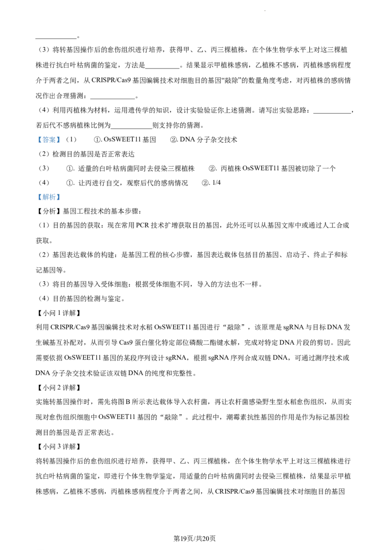 精品解析：广东省东莞市2023-2024学年高三上学期期末生物试题（解析版）_2024年1月_01每日更新_22号_2024届广东省东莞市高三上学期期末考试_广东省东莞市2024届高三上学期期末考试生物