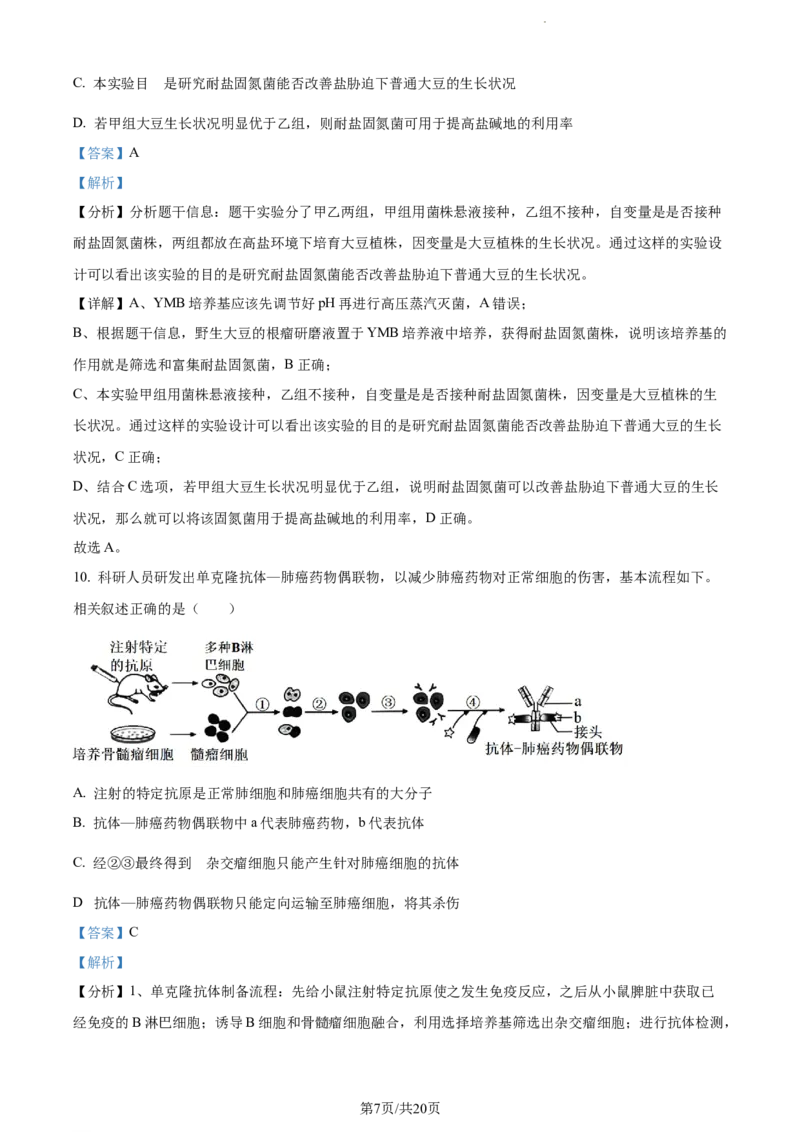 精品解析：广东省东莞市2023-2024学年高三上学期期末生物试题（解析版）_2024年1月_01每日更新_22号_2024届广东省东莞市高三上学期期末考试_广东省东莞市2024届高三上学期期末考试生物