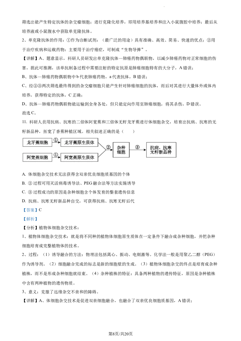 精品解析：广东省东莞市2023-2024学年高三上学期期末生物试题（解析版）_2024年1月_01每日更新_22号_2024届广东省东莞市高三上学期期末考试_广东省东莞市2024届高三上学期期末考试生物