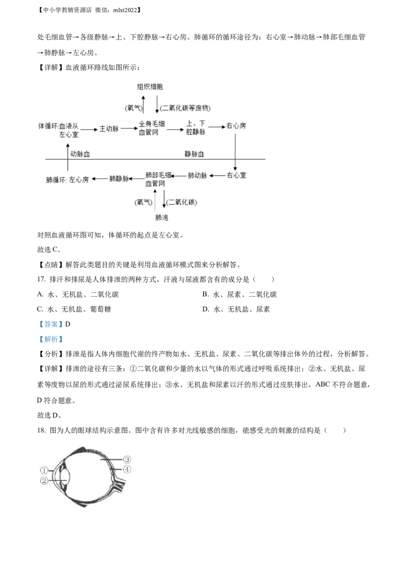 精品解析：2022年山东省威海市中考生物真题（解析版）_中考真题_8.生物中考真题2015-2024年_2022年全国中考生物114份14
