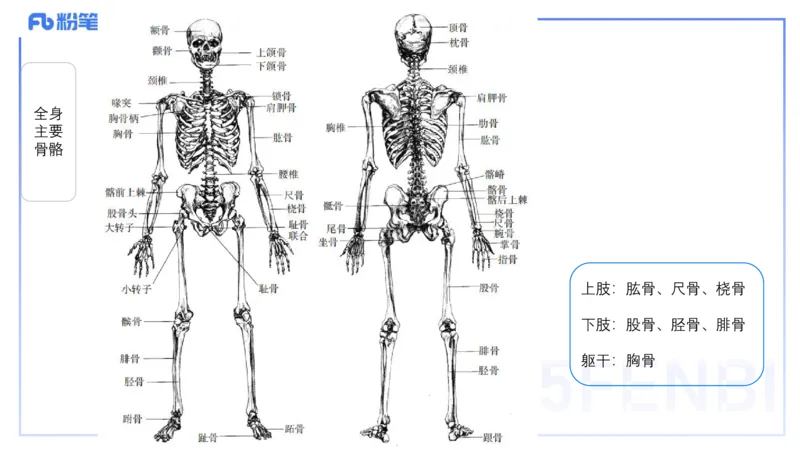 理论精讲16-美术基础知识+艺术概论2_4-教培资料-26年最新资料-同步更新_初中高中教资_03科三专项（进去保存报考的学科即可）_初中_初中美术-通关资料包_3.课程FB系统班课程