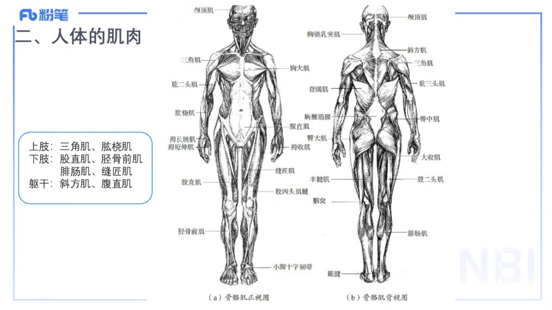 理论精讲16-美术基础知识+艺术概论2_4-教培资料-26年最新资料-同步更新_初中高中教资_03科三专项（进去保存报考的学科即可）_初中_初中美术-通关资料包_3.课程FB系统班课程
