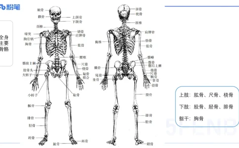 理论精讲16-美术基础知识+艺术概论2_4-教培资料-26年最新资料-同步更新_初中高中教资_03科三专项（进去保存报考的学科即可）_初中_初中美术-通关资料包_3.课程FB系统班课程