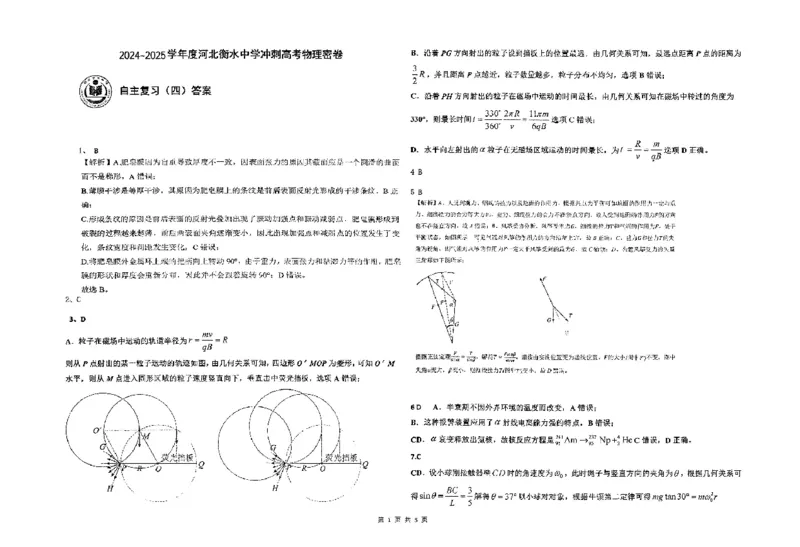 物理四轮冲刺终极押题卷答案_2025年6月_250605河北省衡水中学2025届高三6月押题密卷