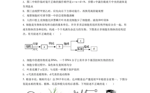 精品解析：2022年四川省达州市中考生物真题（原卷版）_中考真题_8.生物中考真题2015-2024年_2022年全国中考生物114份14