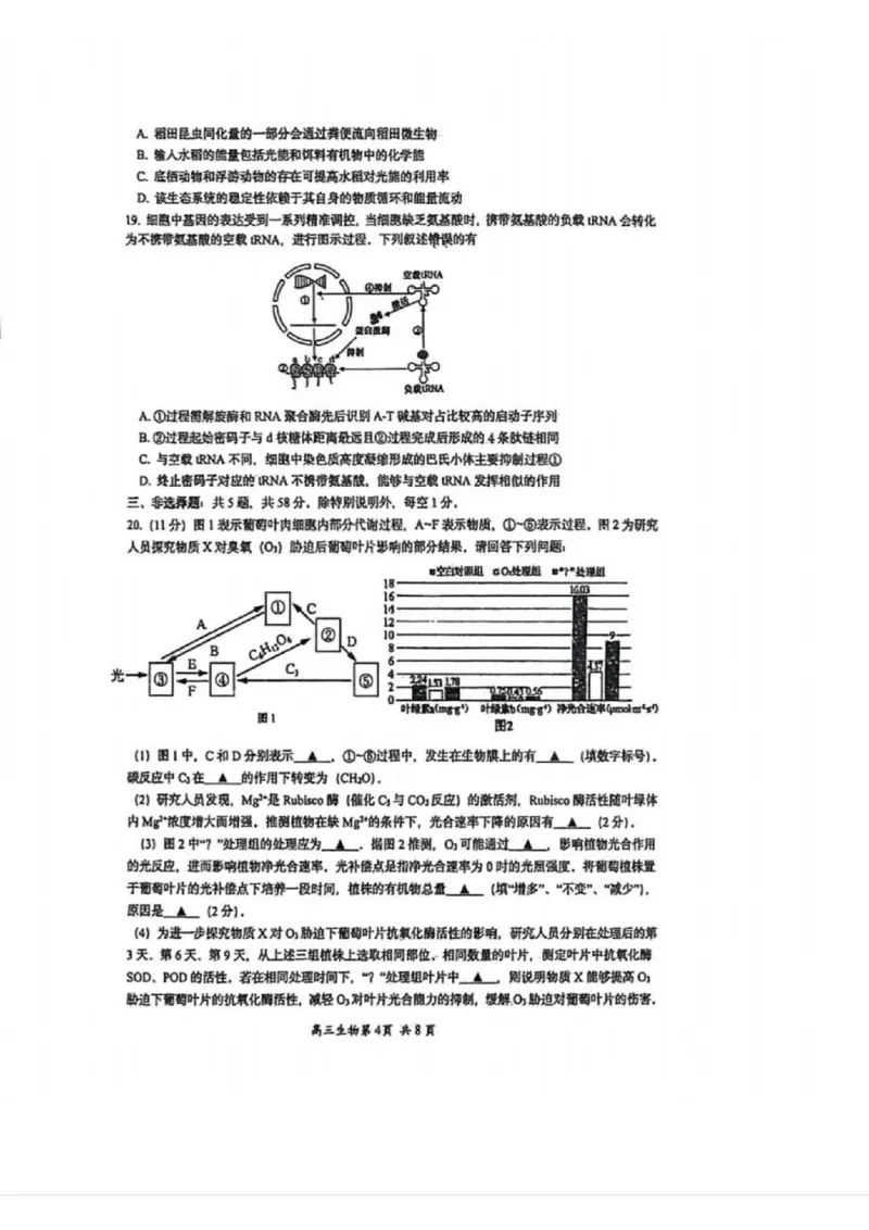 苏州九校2026届高三上学期一轮复习学情联合调研生物试卷+答案_2025年12月_251229苏州九校2026届高三上学期一轮复习学情联合调研