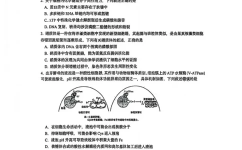 苏州九校2026届高三上学期一轮复习学情联合调研生物试卷+答案_2025年12月_251229苏州九校2026届高三上学期一轮复习学情联合调研