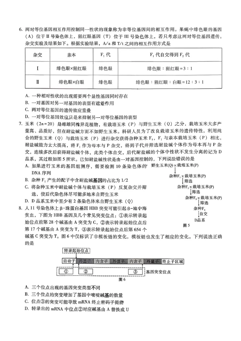 重庆市第八中学2026届高考适应性月考卷（三）生物_251124重庆市第八中学2026届高考适应性月考卷（三）（全科）