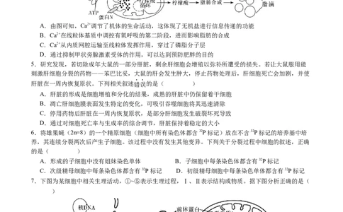 生物（贵州、安徽、甘肃适用，16+5题型）（考试版）A4_学易金卷丨2024年1月&ldquo;七省联考&rdquo;考前猜想卷_生物（贵州、安徽、甘肃适用，16+5题型）