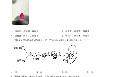 精品解析：2022年四川省成都市中考生物真题（原卷版）_中考真题_8.生物中考真题2015-2024年_2022年全国中考生物114份14