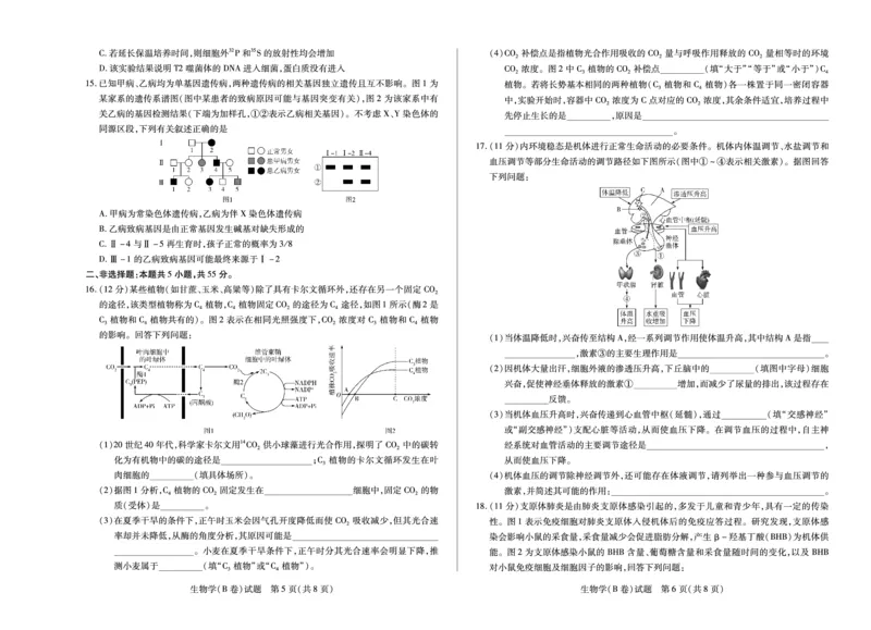 生物学B卷安徽高三12月考_2025年12月_251222安徽省天一大联考2025-2026学年高三上学期12月联考（全科）