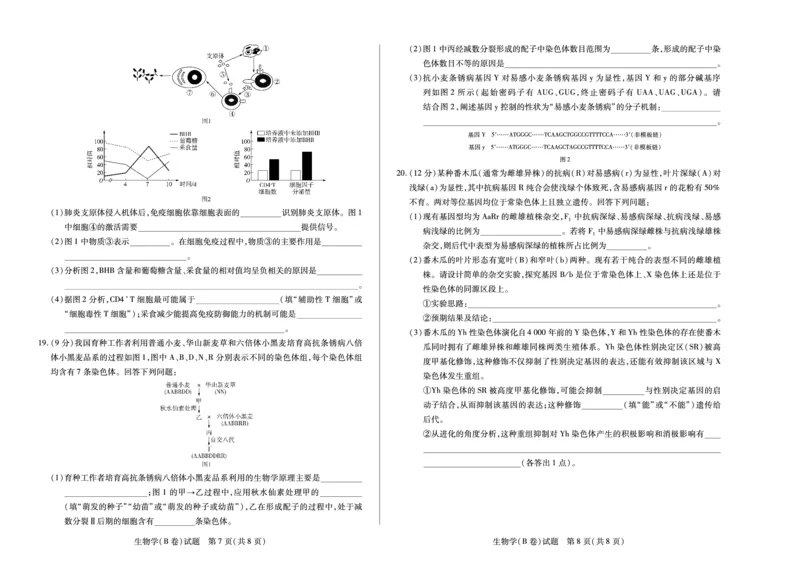 生物学B卷安徽高三12月考_2025年12月_251222安徽省天一大联考2025-2026学年高三上学期12月联考（全科）