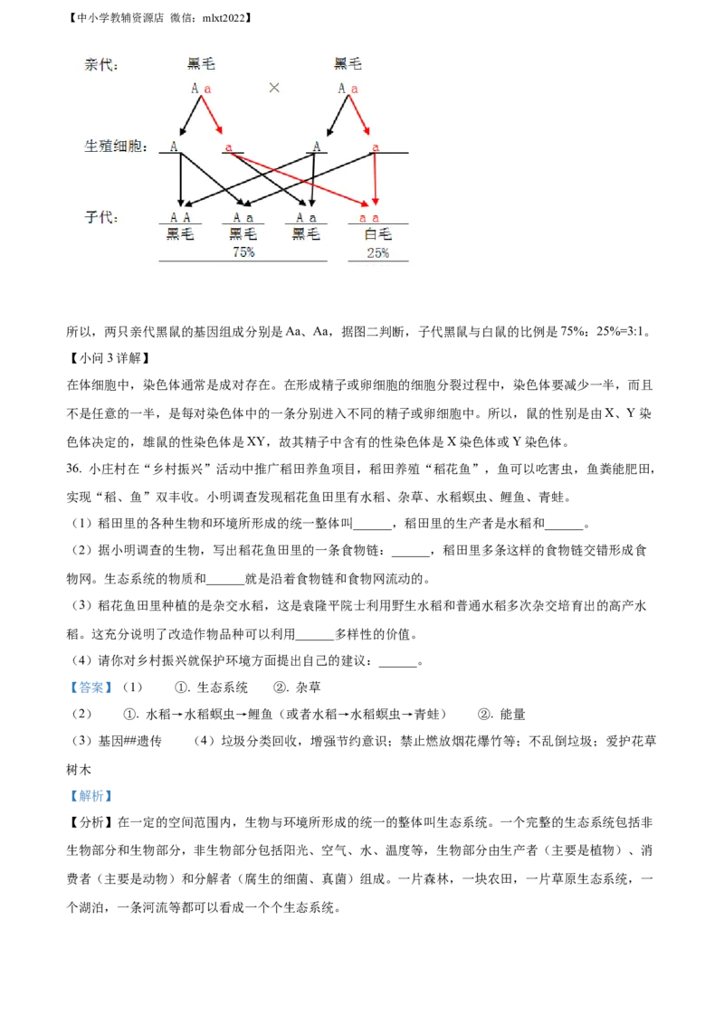 精品解析：2022年湖南省湘西州中考生物真题（解析版）_中考真题_8.生物中考真题2015-2024年_2022年全国中考生物114份14