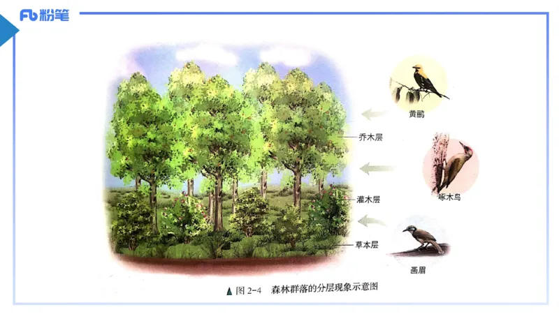 理论精讲18-生态学1-拾光_4-教培资料-26年最新资料-同步更新_初中高中教资_03科三专项（进去保存报考的学科即可）_01科目三FB网课、三色速记手册、知识点导图等推荐_初中