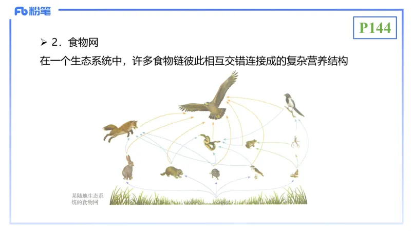 理论精讲18-生态学1-拾光_4-教培资料-26年最新资料-同步更新_初中高中教资_03科三专项（进去保存报考的学科即可）_01科目三FB网课、三色速记手册、知识点导图等推荐_初中