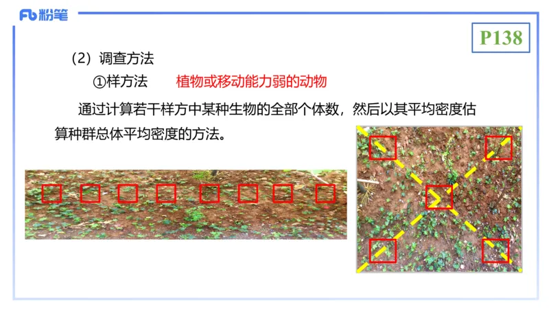 理论精讲18-生态学1-拾光_4-教培资料-26年最新资料-同步更新_初中高中教资_03科三专项（进去保存报考的学科即可）_01科目三FB网课、三色速记手册、知识点导图等推荐_初中