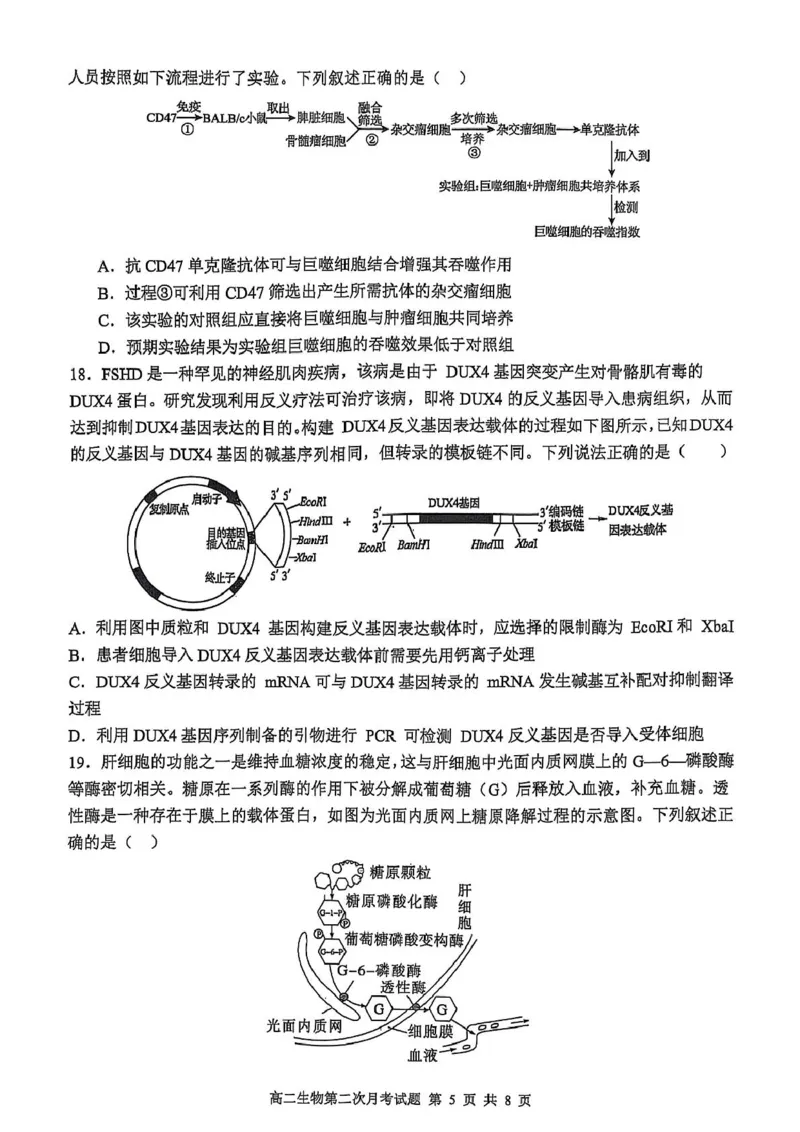 辽宁省锦州市某校2024-2025学年高二下学期第二次月考生物试卷_2025年6月_250622辽宁省锦州市某校2024-2025学年高二下学期第二次月考