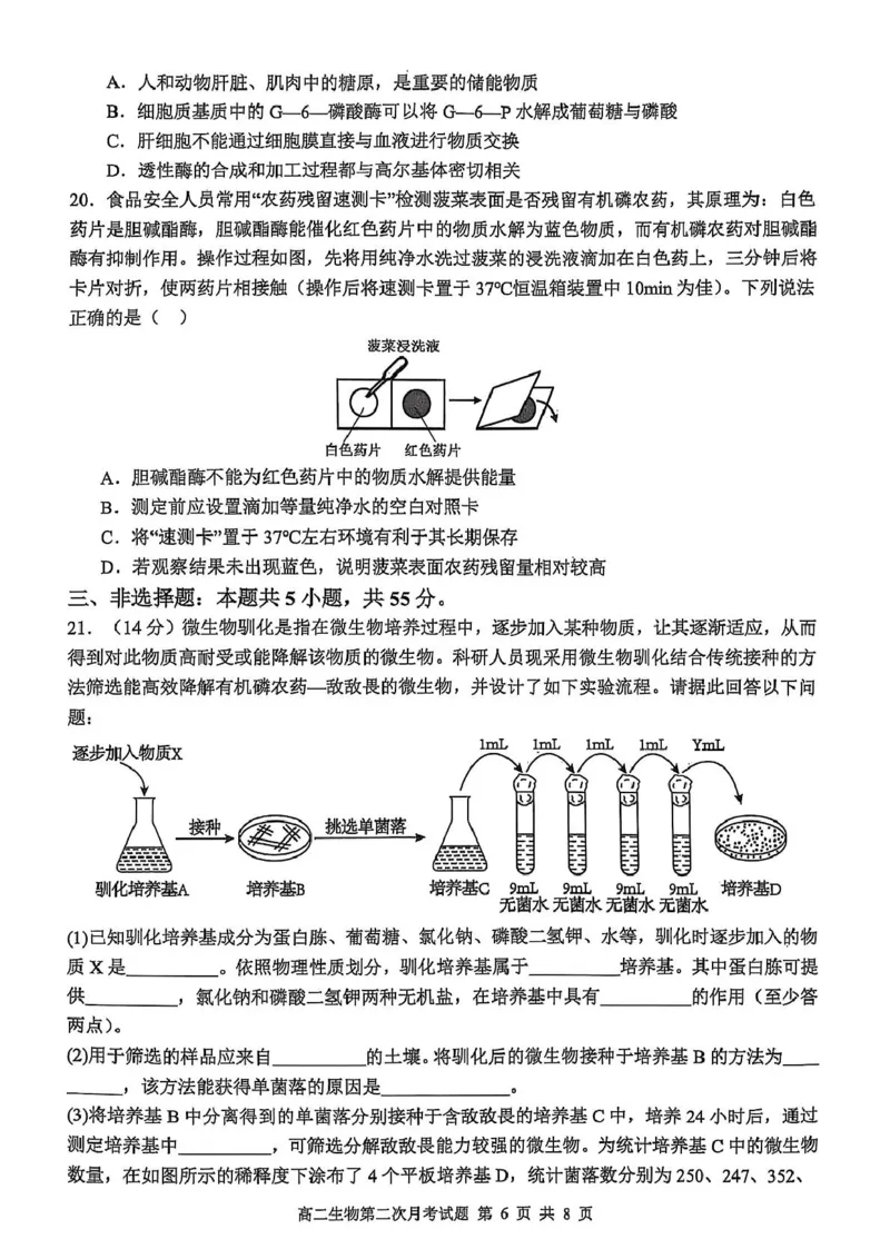 辽宁省锦州市某校2024-2025学年高二下学期第二次月考生物试卷_2025年6月_250622辽宁省锦州市某校2024-2025学年高二下学期第二次月考