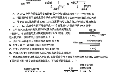 辽宁省锦州市某校2024-2025学年高二下学期第二次月考生物试卷_2025年6月_250622辽宁省锦州市某校2024-2025学年高二下学期第二次月考