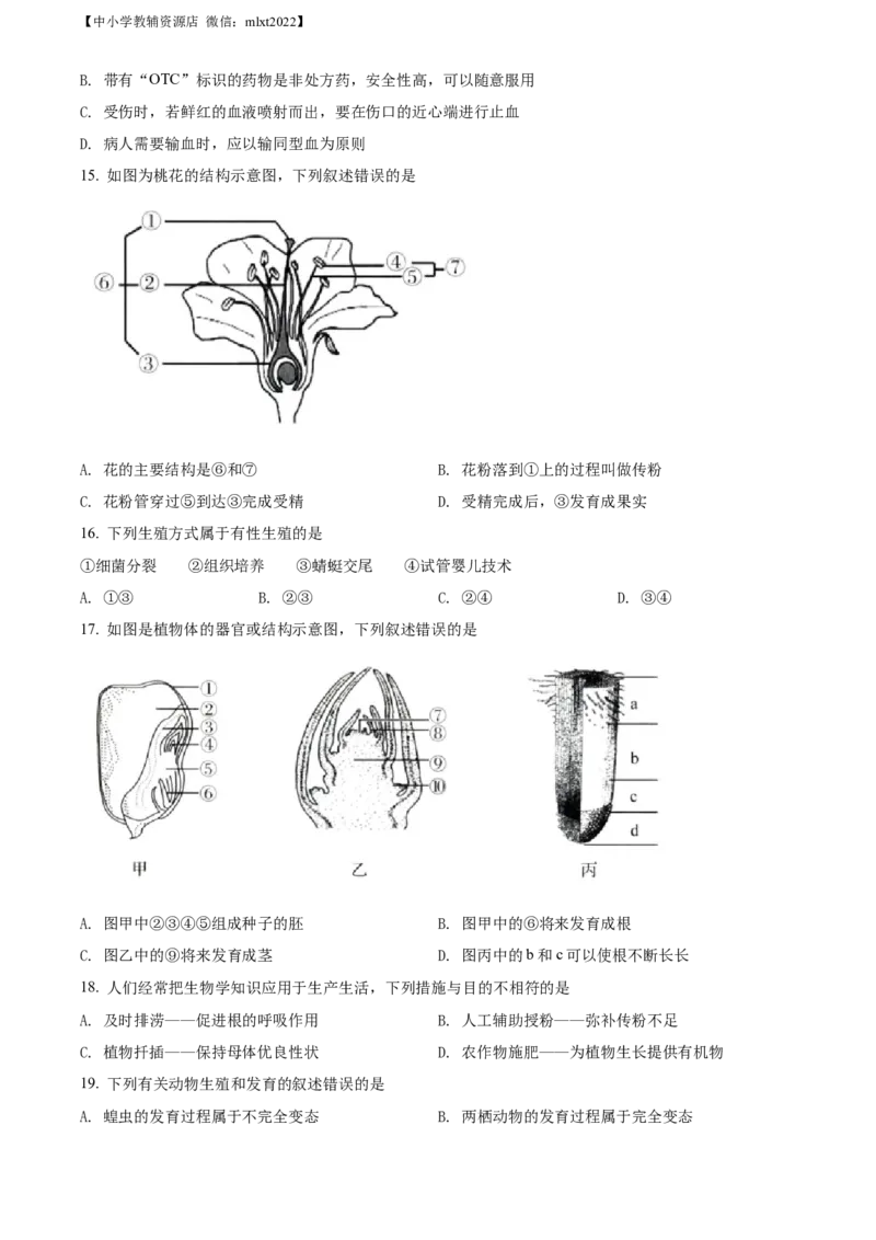 精品解析：2022年山东省济南市中考生物真题（原卷版）_中考真题_8.生物中考真题2015-2024年_2022年全国中考生物114份14