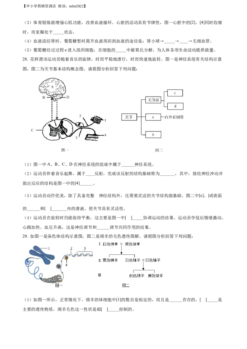 精品解析：2022年山东省济南市中考生物真题（原卷版）_中考真题_8.生物中考真题2015-2024年_2022年全国中考生物114份14