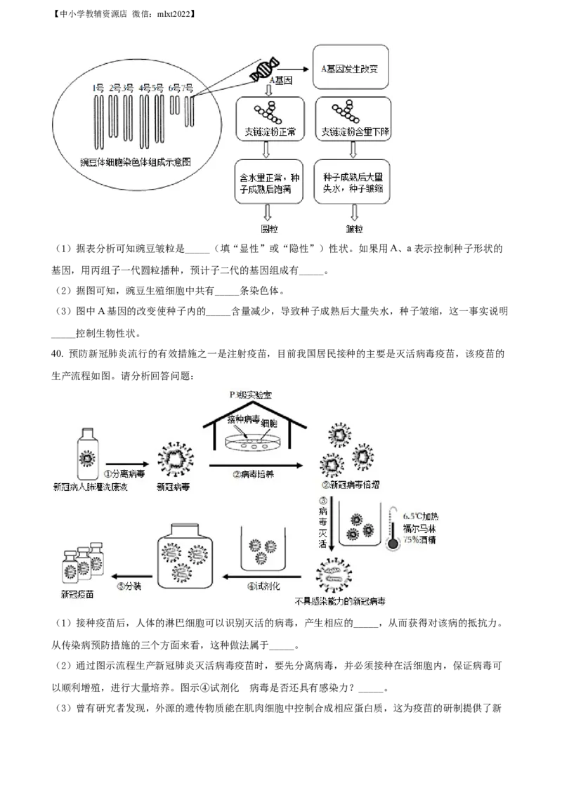 精品解析：2022年湖南省湘潭市中考生物试题（原卷版）_中考真题_8.生物中考真题2015-2024年_2022年全国中考生物114份14